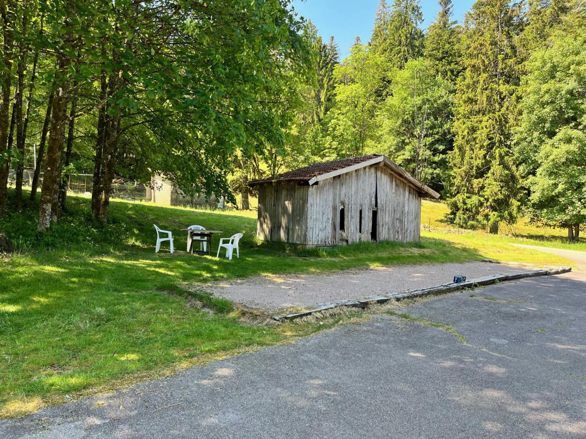 Ferme Des Jonquilles 15P - Billard, Ps4, Salle De Sport Gérardmer Esterno foto